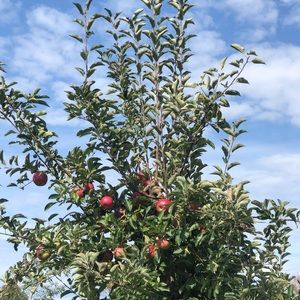 Meet your Posher, Ewelina